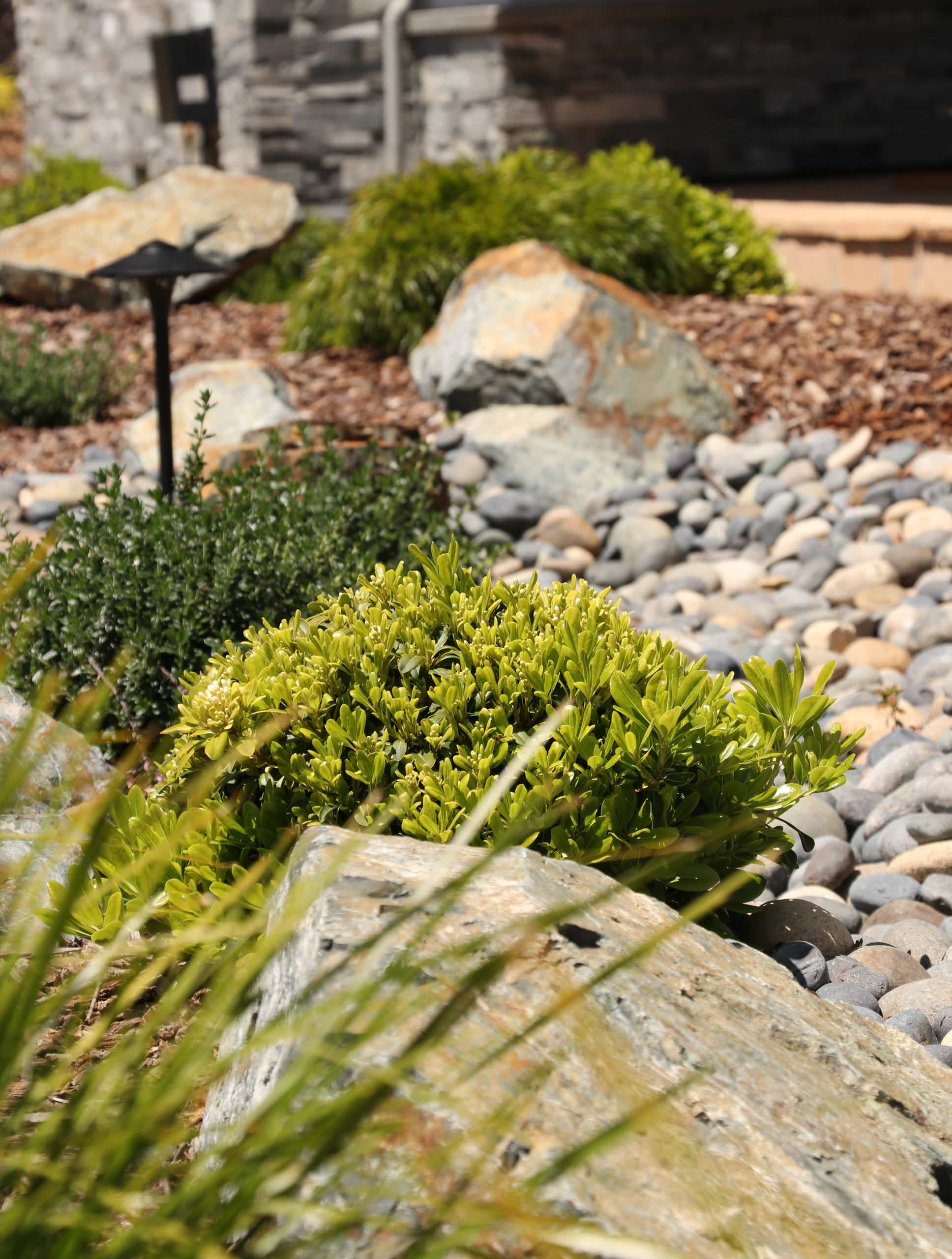 FRONT YARD WITH TREES AND DRY-CREEK