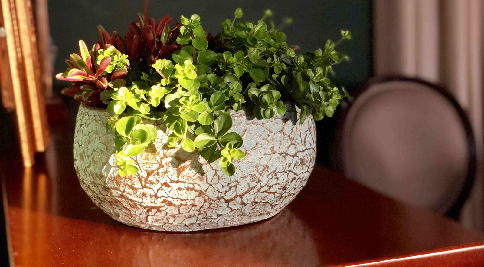 Пент Хаус 240 кв.м.