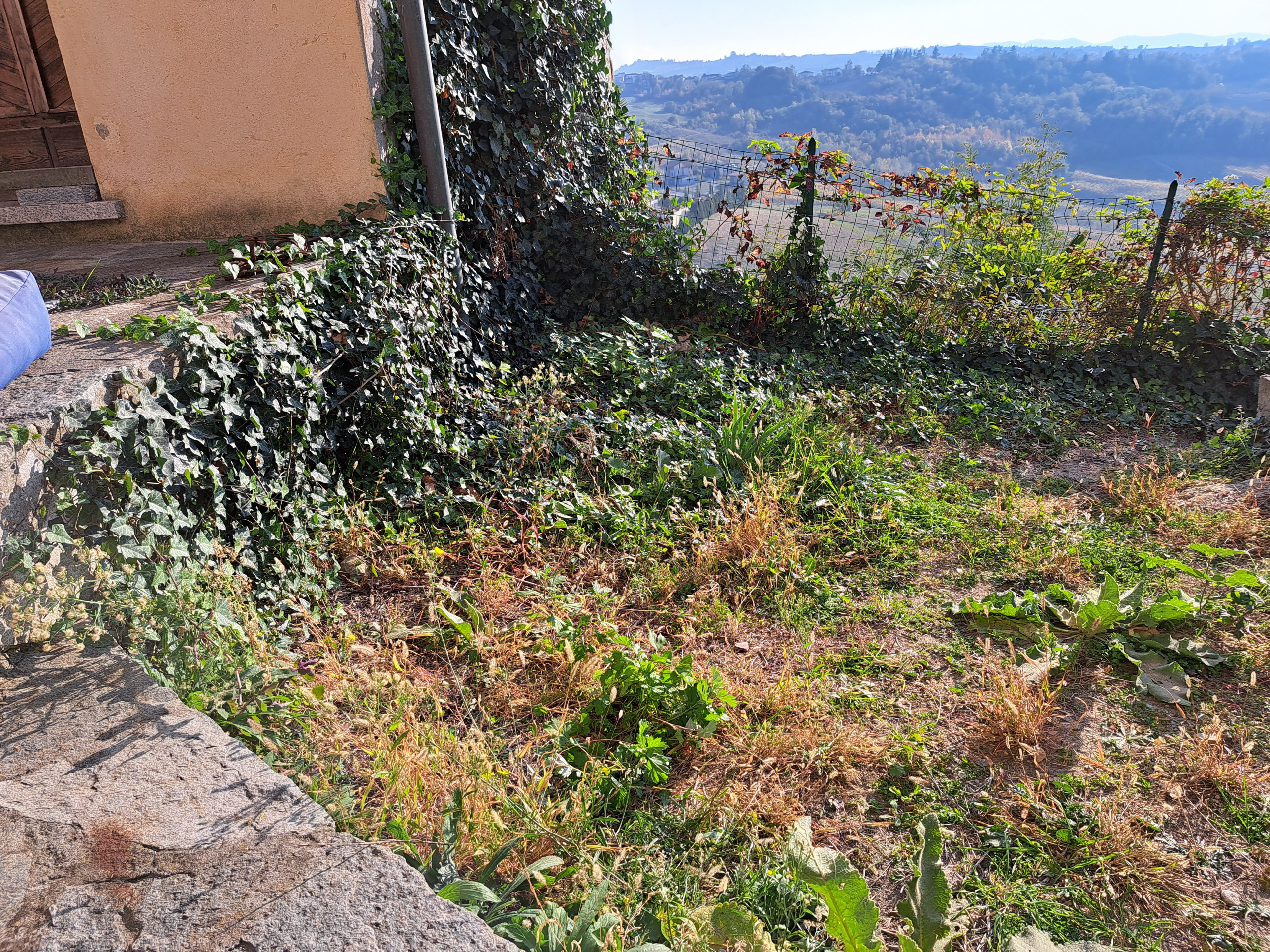 Un giardino sulle colline pavesi