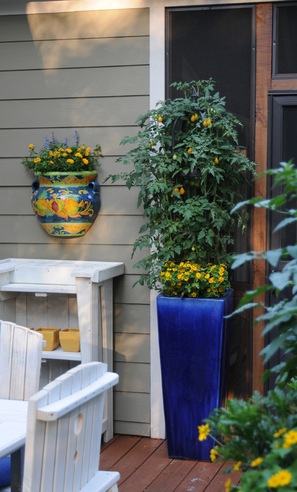 This is an example of a transitional garden in Miami with a container garden.