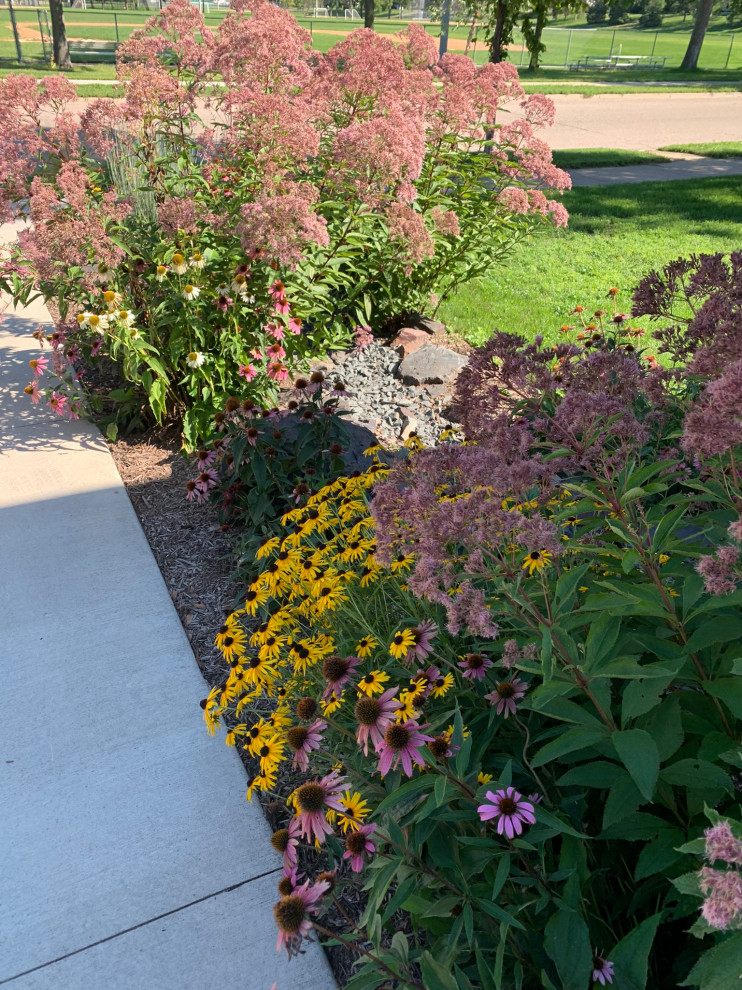Minneapolis Functional Landscape