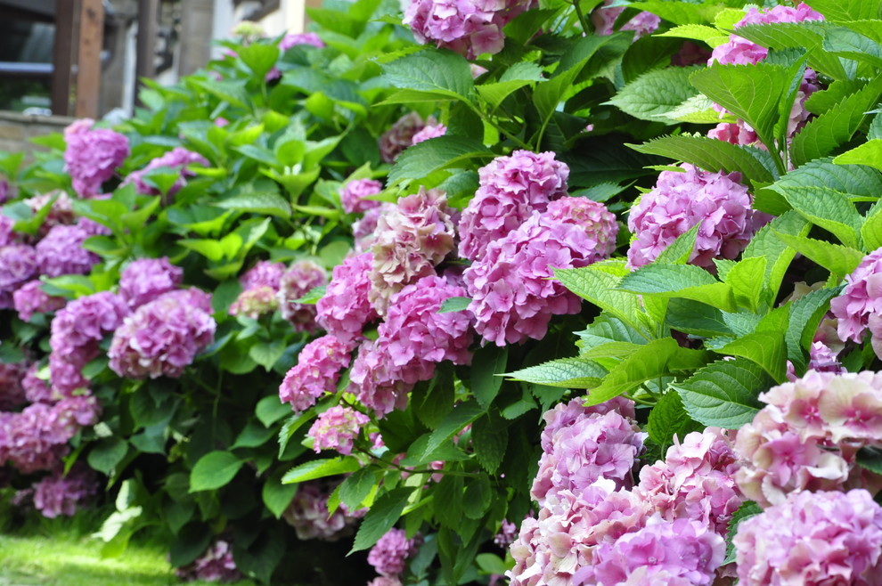 кп "Успенские дачи" - Уход за садом - 100% качество!