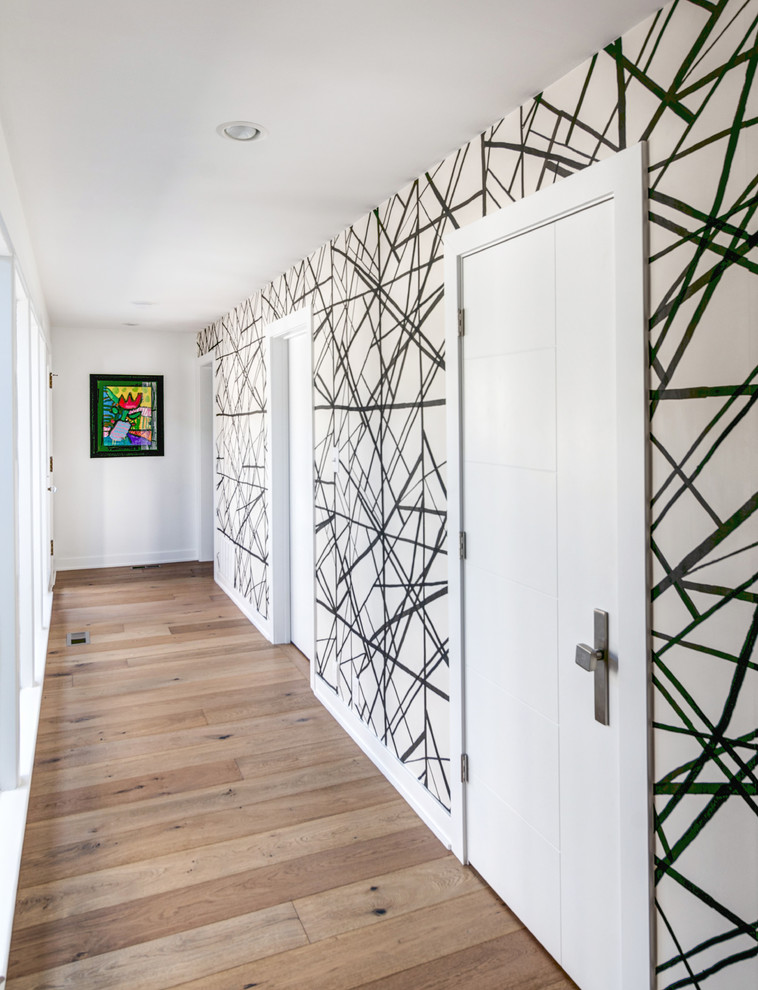 Photo of a contemporary hallway in Indianapolis with multi-coloured walls and light hardwood floors.