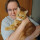 Sue Brandes's profile image