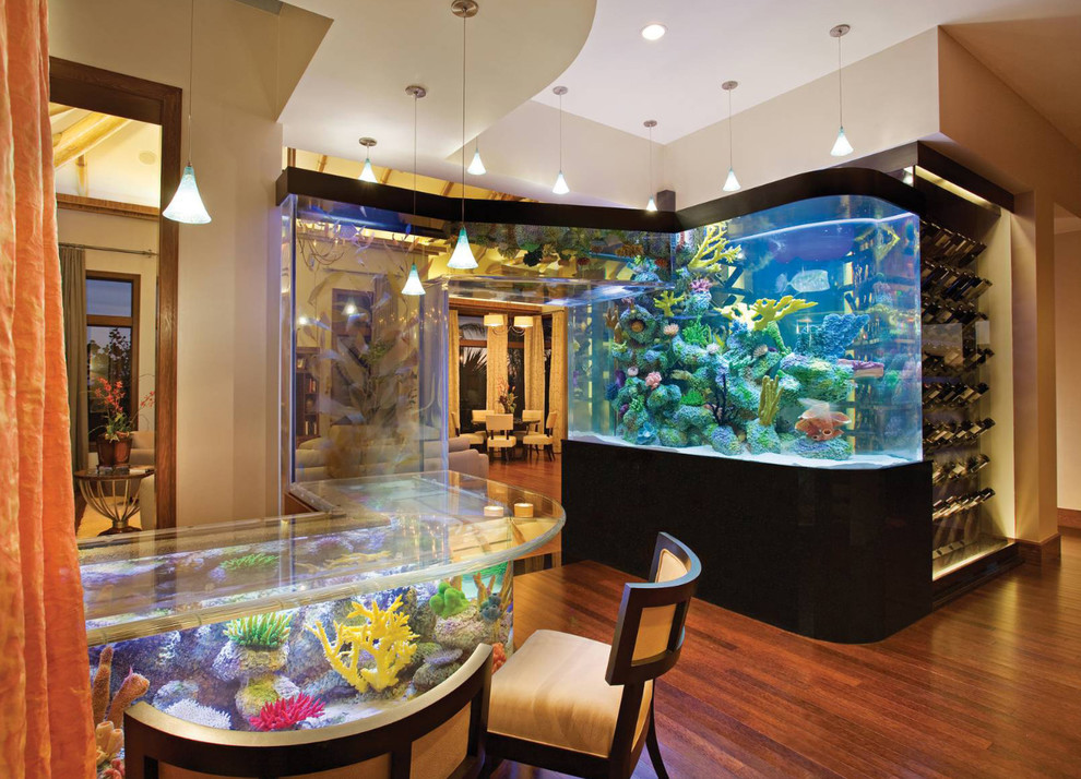 7 Amazing Locations in a House to Install an Aquarium