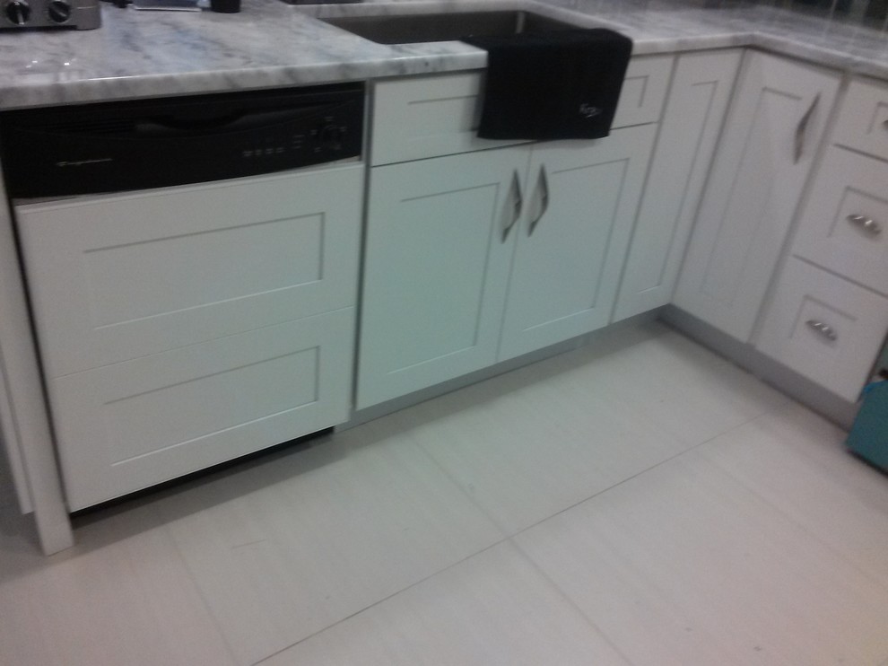 Kitchen - transitional kitchen idea in Miami