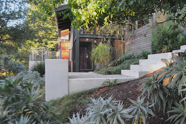 Mod. Berkeley 2 moderne-have