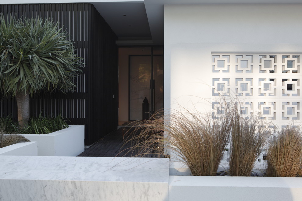 Contemporary entryway in Perth with white walls, dark hardwood floors, a single front door and a dark wood front door.