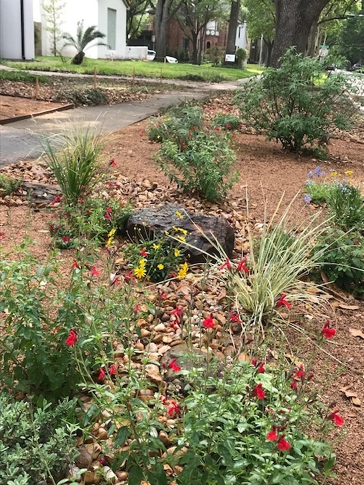 Xeriscape-Drought Tolerant