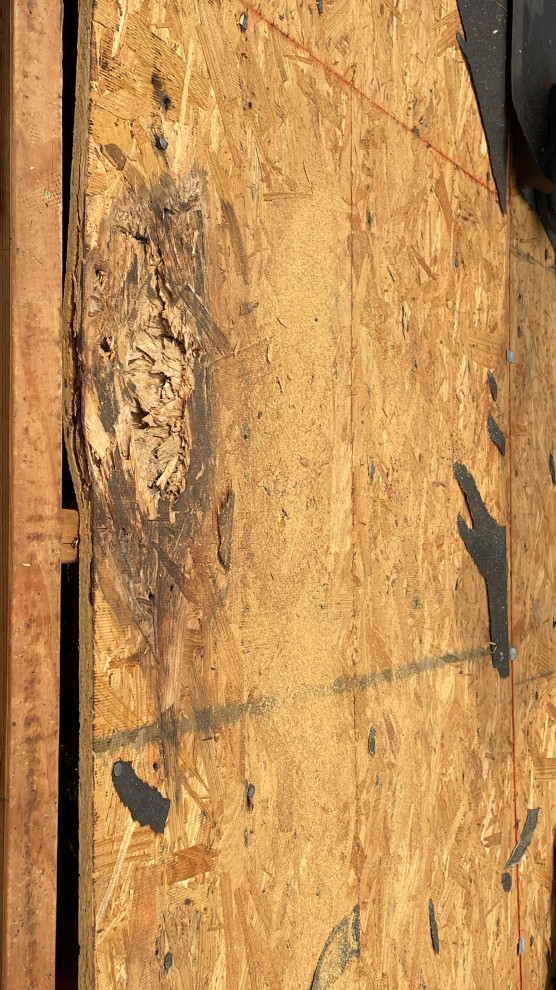 CY77339 - Roof Replacement