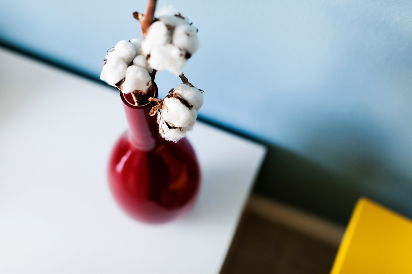 Тима/ Леся/  Пражская