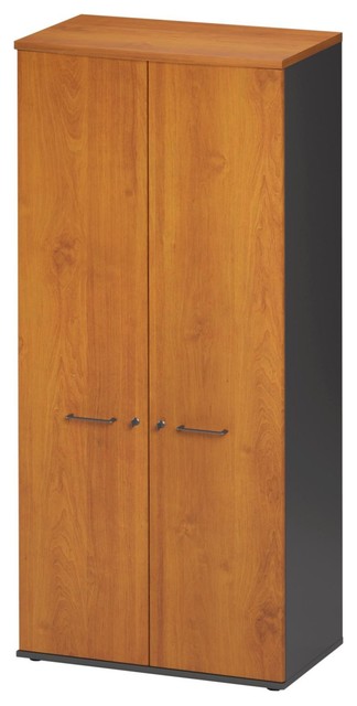 Jazz 2 Door Storage Cabinet With Lock Traditional Storage