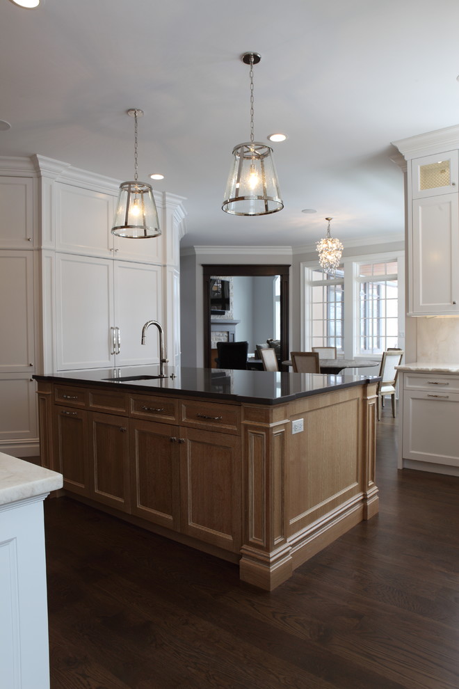 Kitchen - transitional kitchen idea in Chicago