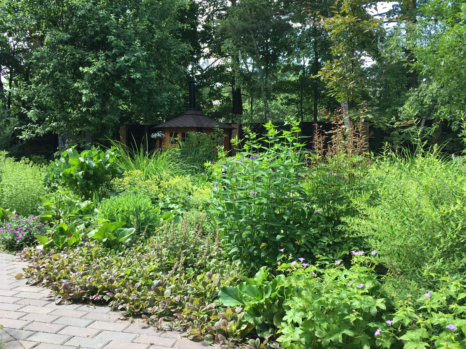 Белкин сад. Лето 2019