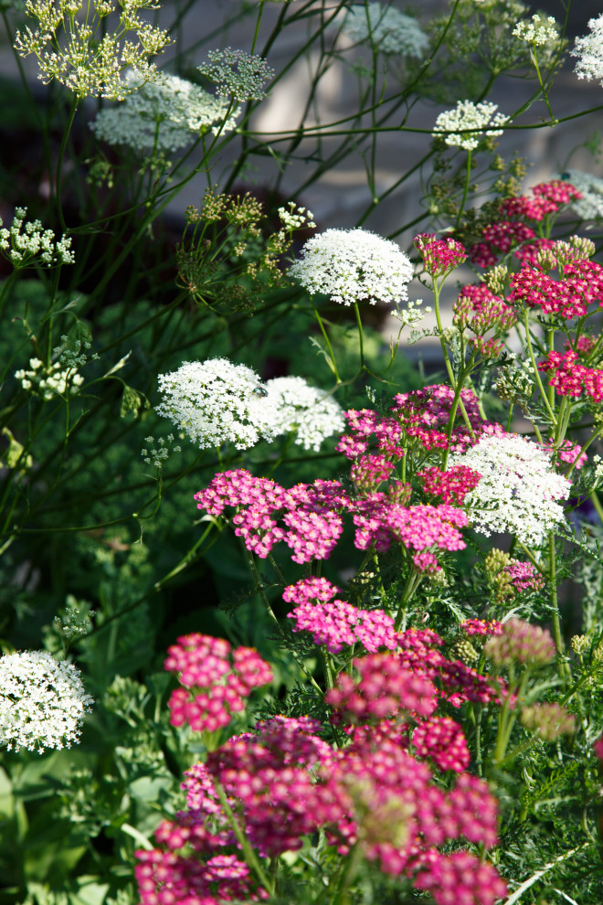 Портреты растений