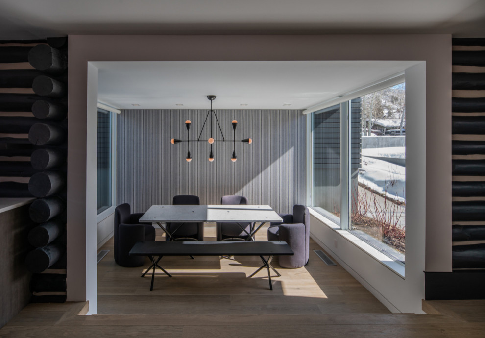 Historical Remodel of Old Mining Cabins - Aspen, CO