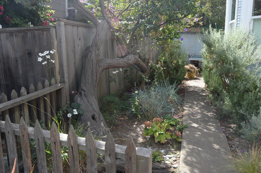 Dierks Residence - Berkeley, CA - In progress