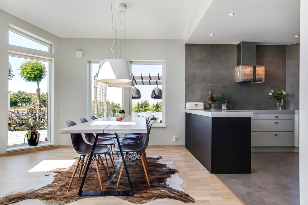 Scandinavian dining room in Other.