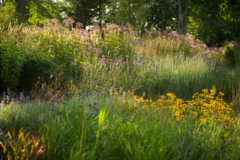 This is an example of a landscaping in Boston.