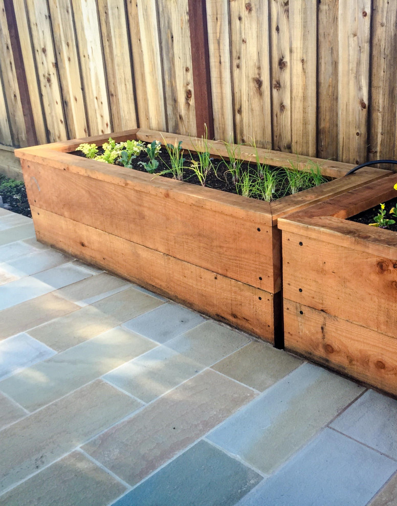 Transitional backyard garden in San Francisco with a container garden and natural stone pavers.