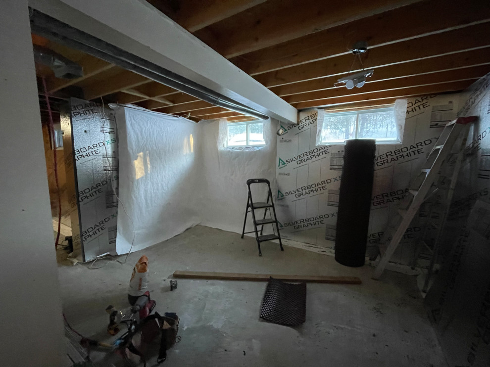 Basement Renovation in Katrine