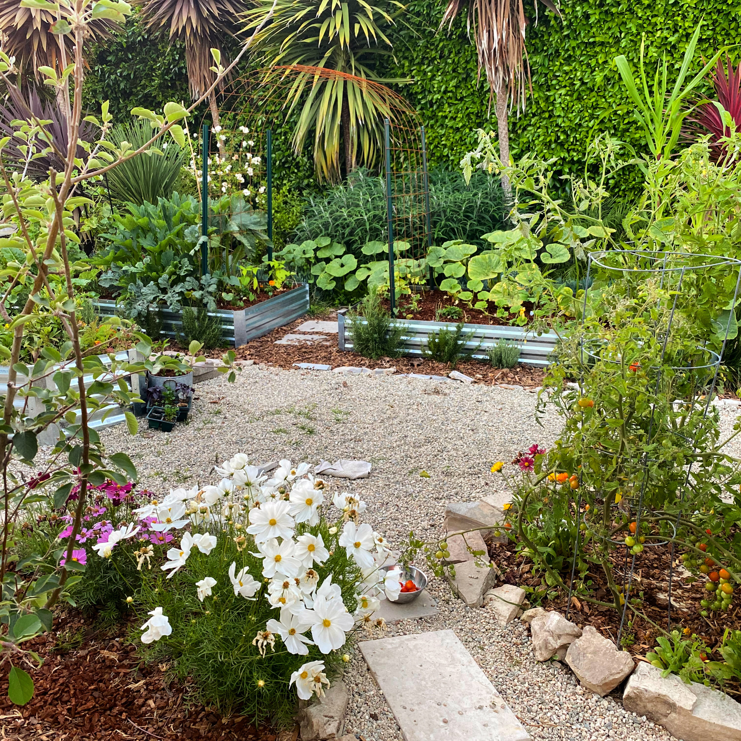 Rustic Kitchen Garden