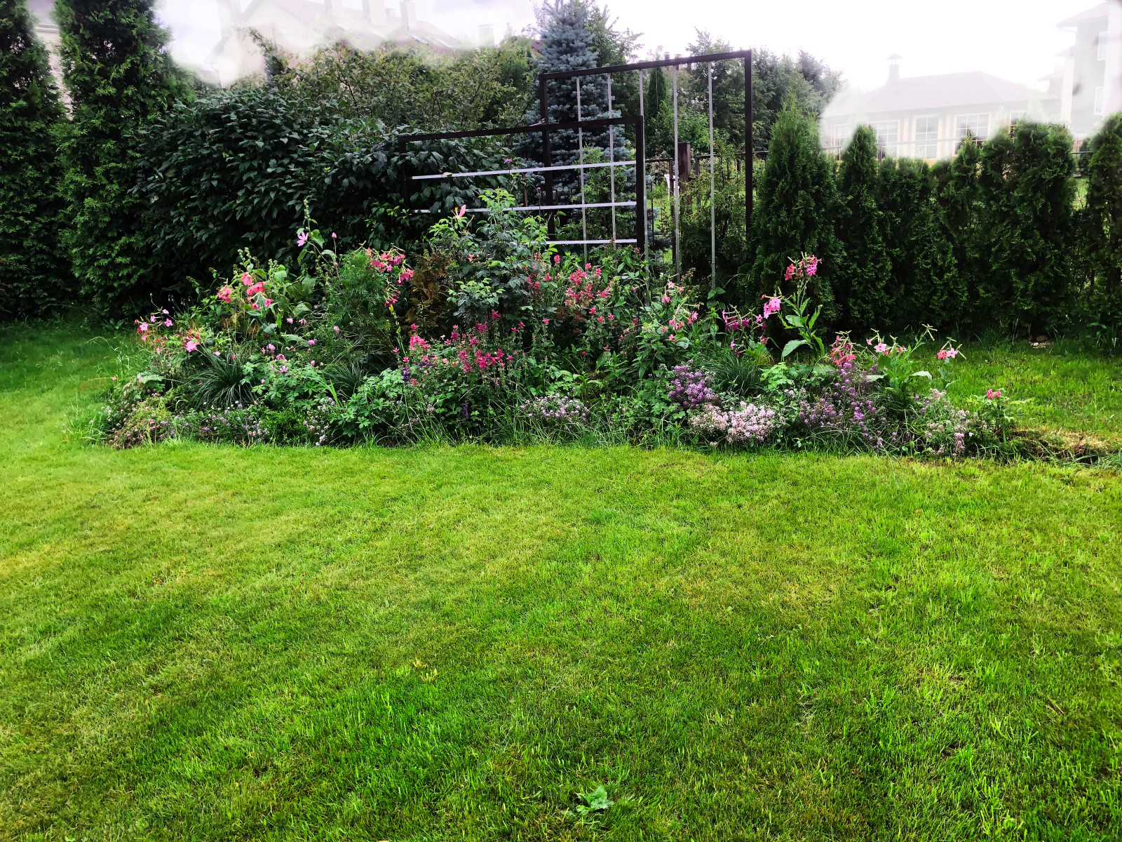 Монохромный розовый цветник