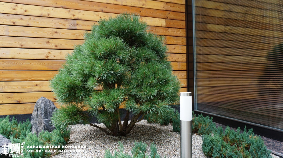 Ландшафтный дизайн