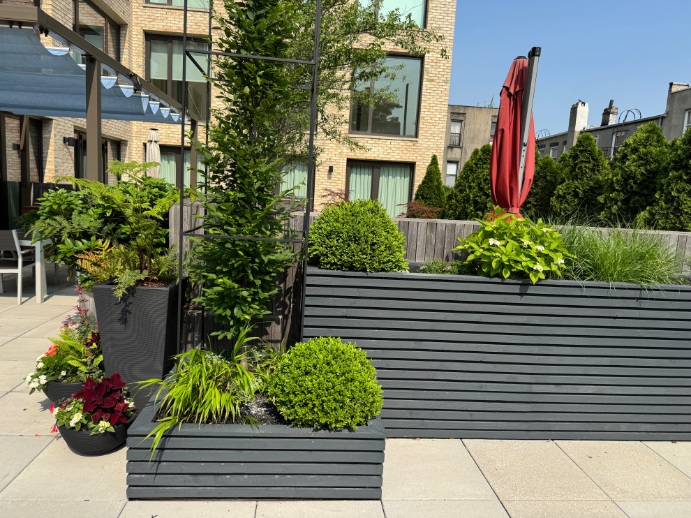 Carroll Gardens Rooftop Terrace