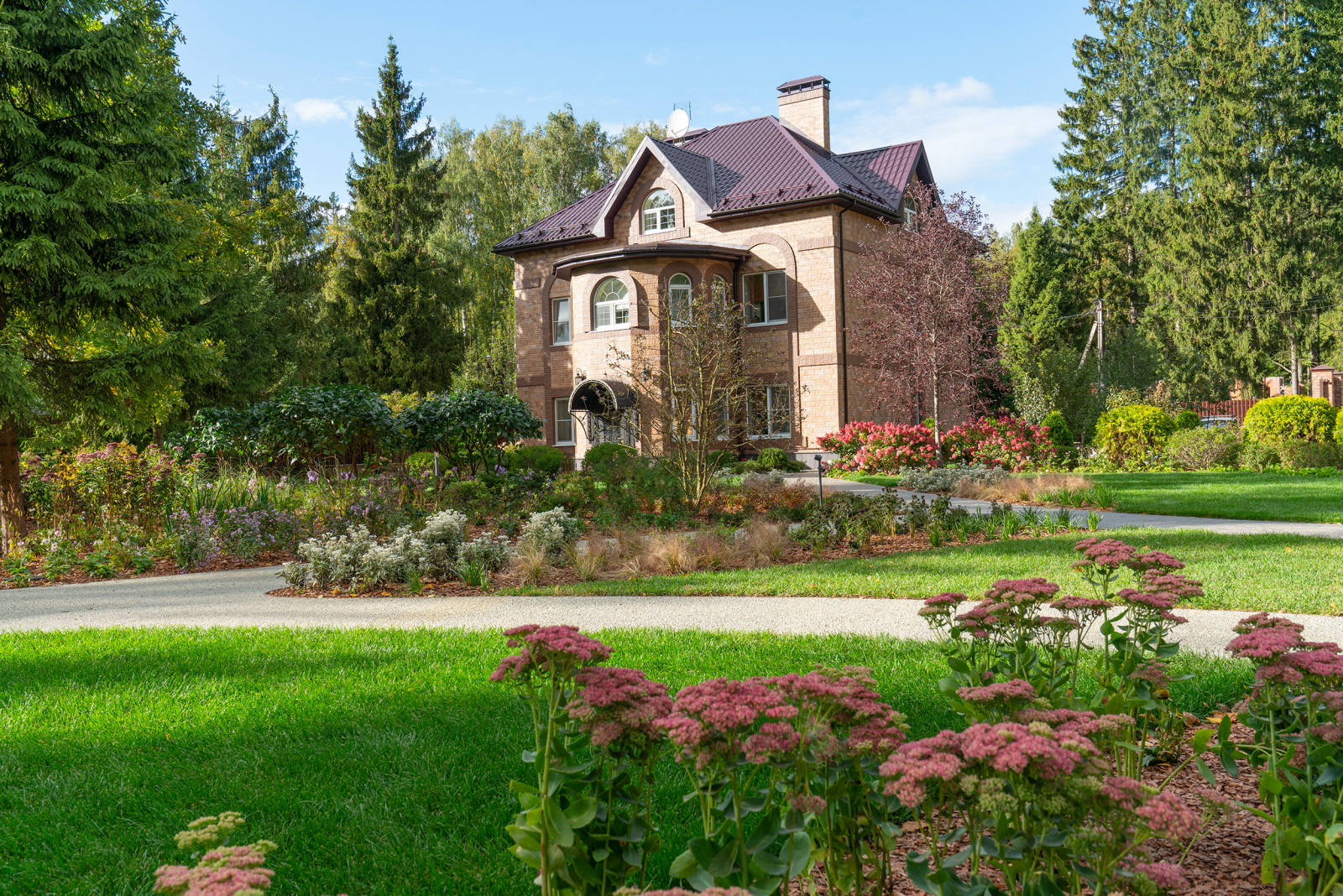 Круговорот  цвета. Дубровка 2021