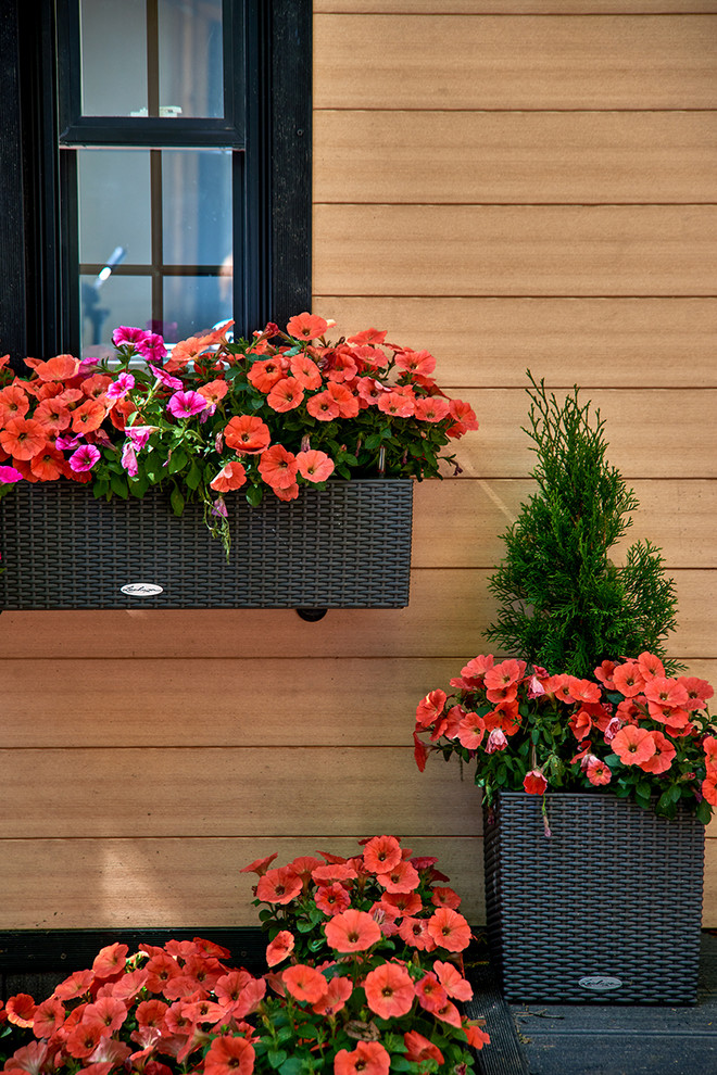 "Идеальный ремонт" для Елены Валюшкиной