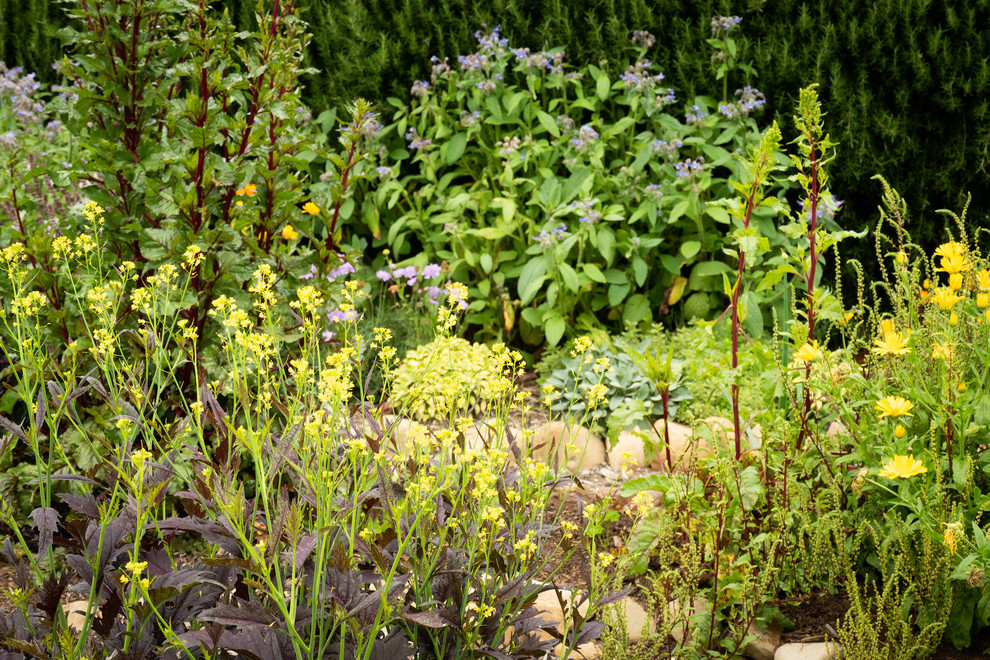 Inspiration for a country backyard full sun garden in Santa Barbara with a vegetable garden and mulch.
