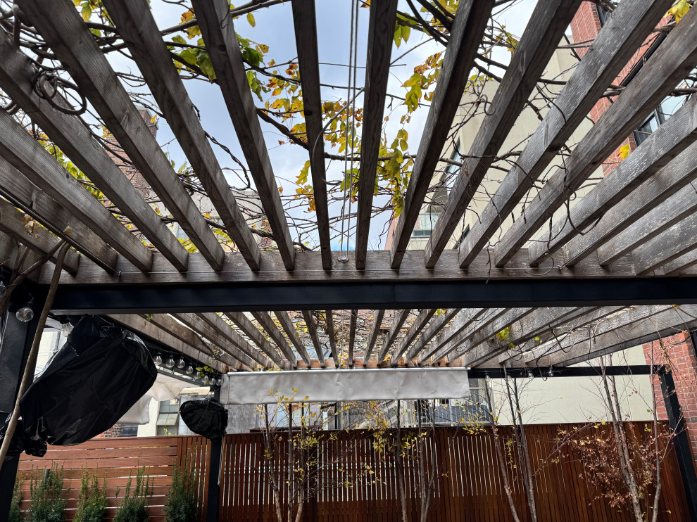 Williamsburg terrace