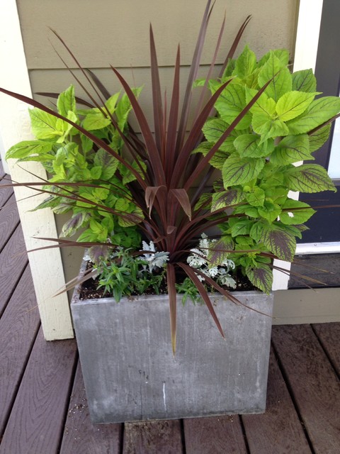 Container Gardens modern-garten