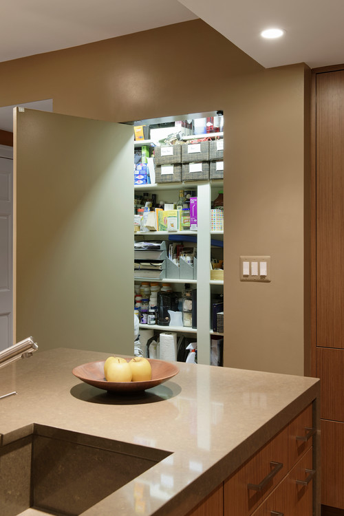 Hidden walk-in pantry behind a flush door in a modern kitchen
