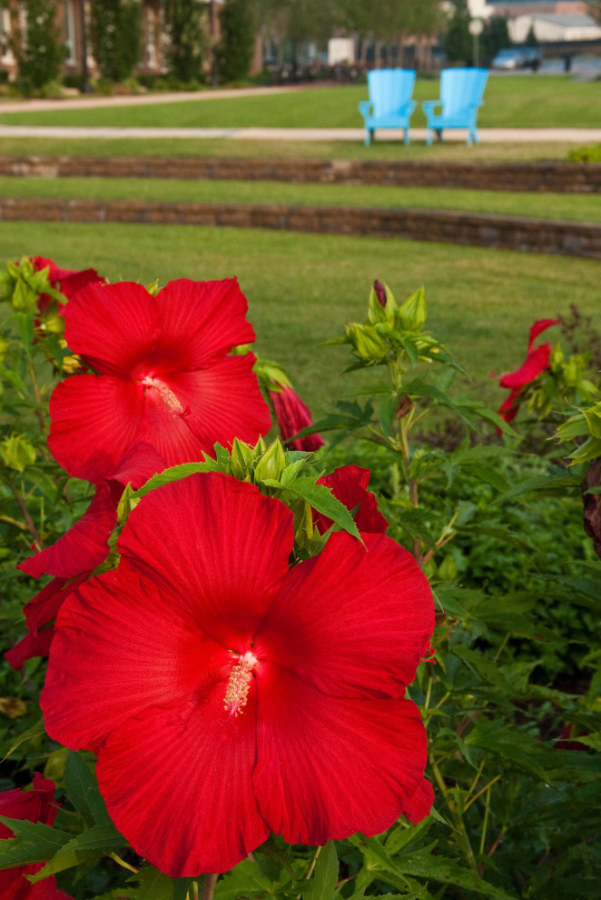 The Riverfront 2 Nature Photography, Floral Unframed Wall Art Print Tropical Photographs