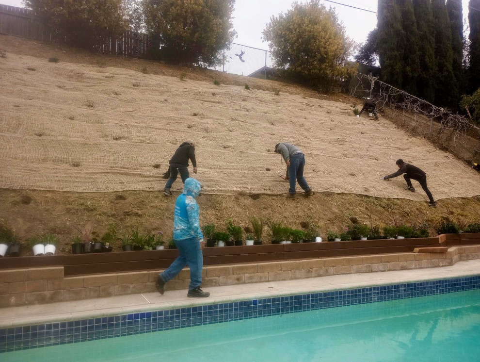 Backyard Renovation