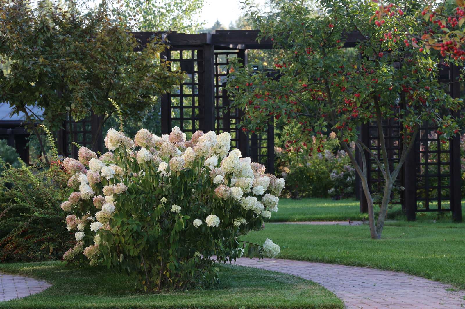 В центре круга