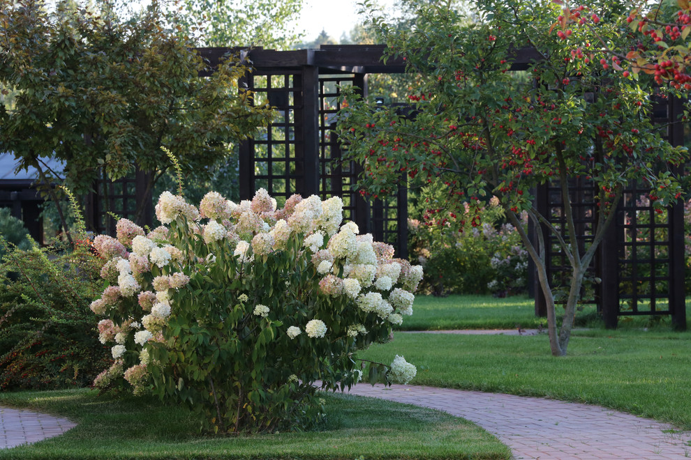 В центре круга