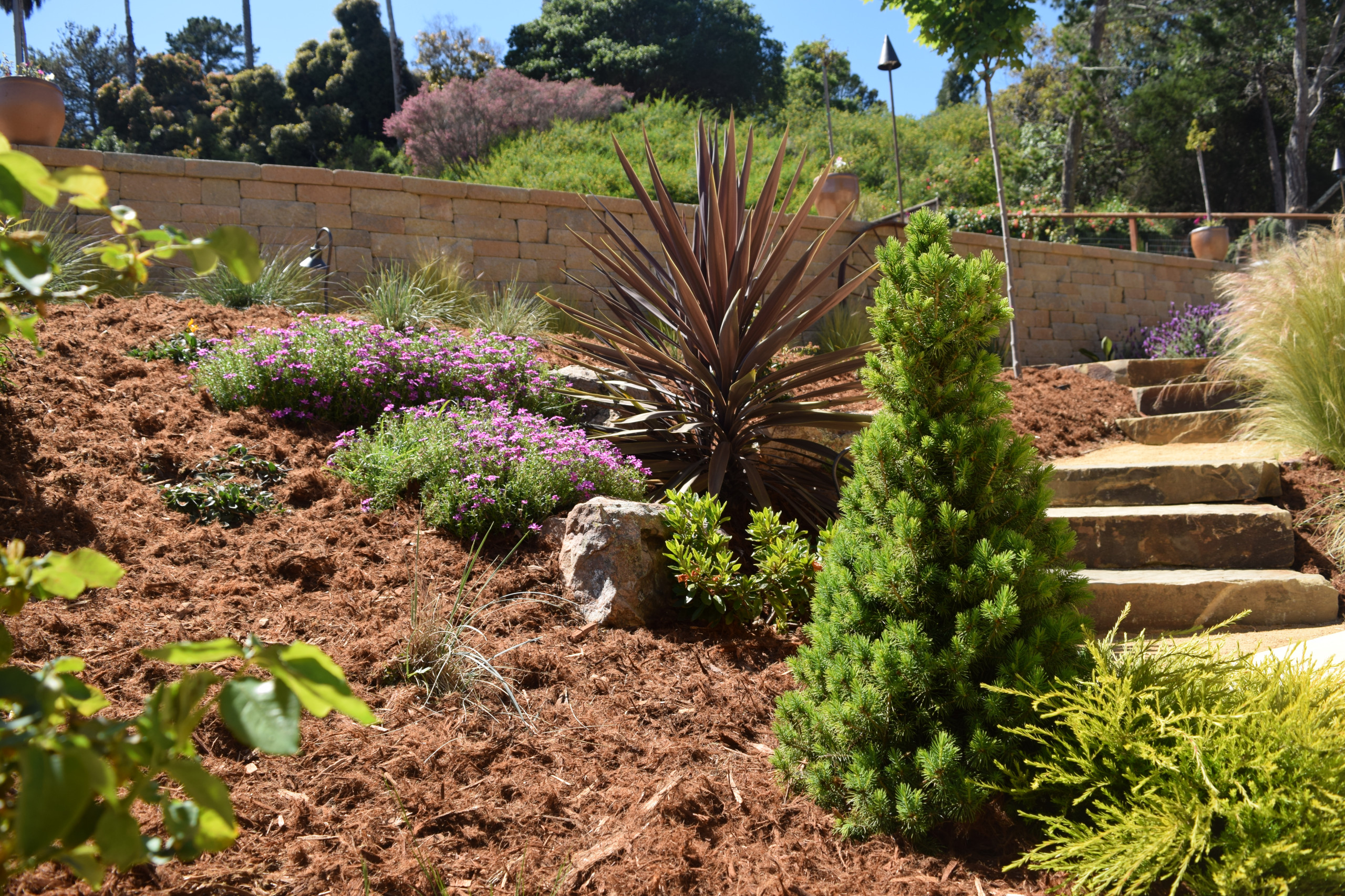Mediterranean Backyard Transformation - Tiburon, CA