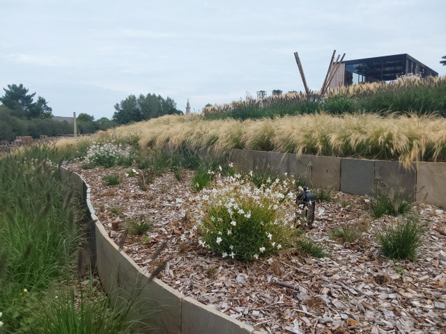 Jardin en paliers contemporary-garden