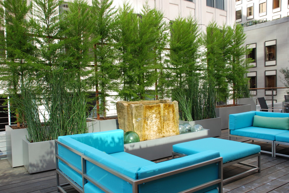 Design ideas for a small modern rooftop deck in San Francisco with a container garden.