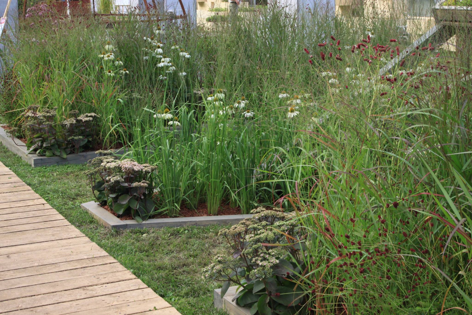 Выставочный Сад "Шалаш с зеленой крышей". Фестиваль "Сады и люди 2016"