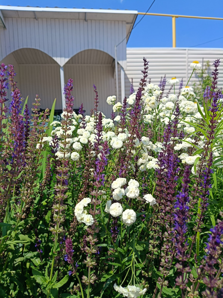 Современный цветник