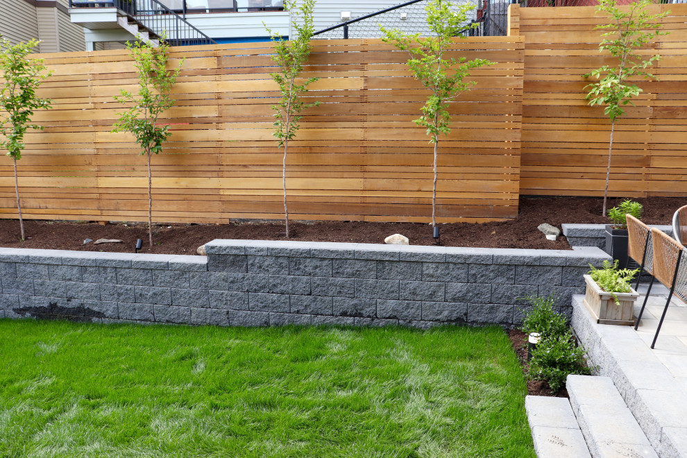 Aménagement d'un jardin arrière moderne de taille moyenne et au printemps avec une exposition ensoleillée, des pavés en béton et une clôture en bois.
