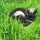 barbara_shepherd20
