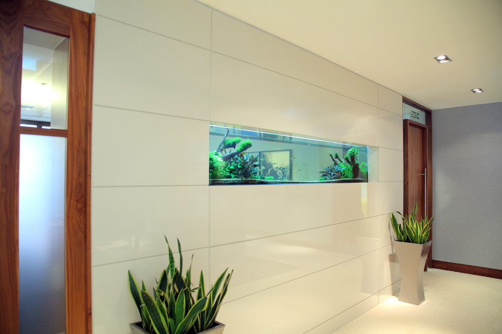 Boardroom Aquarium Contemporary Other by Aquarium Architecture