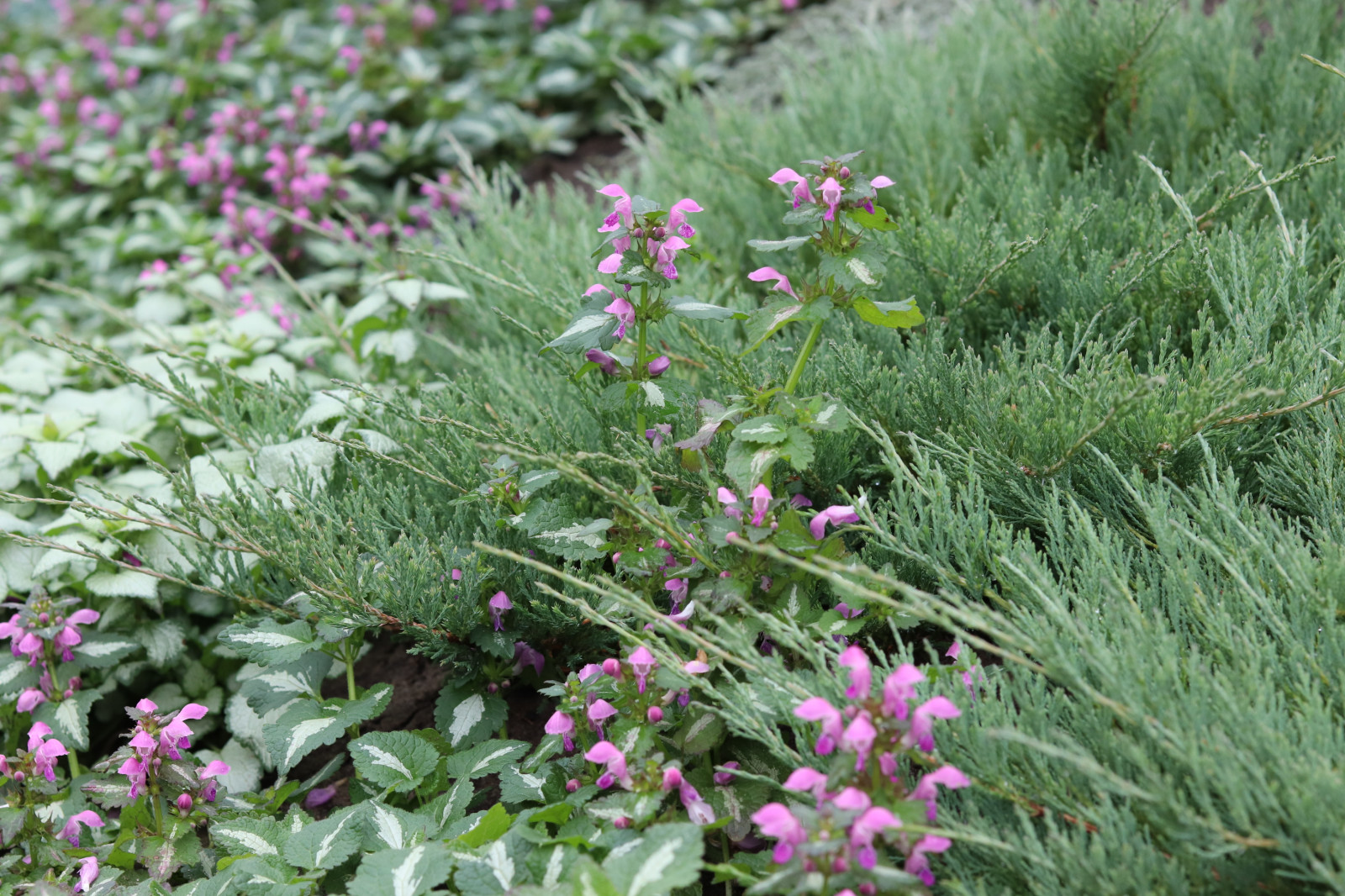 Айдаровский ручей