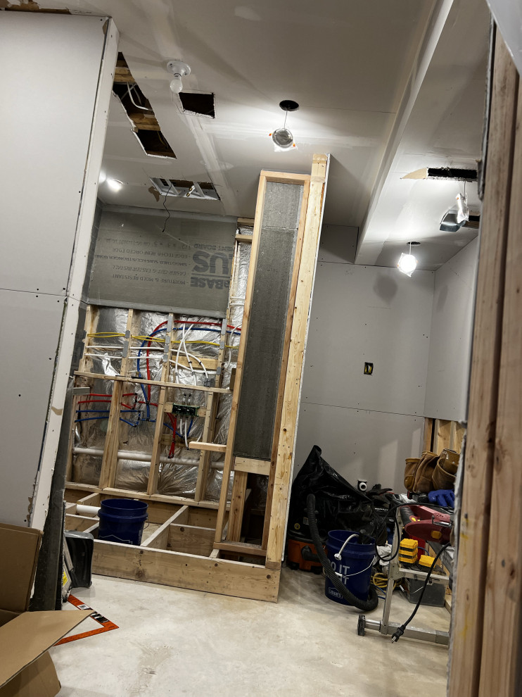 Basement Remodel