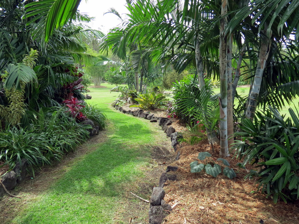 Esempio di un ampio giardino tropicale